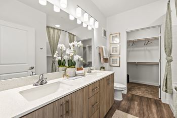 Dual vanity in master